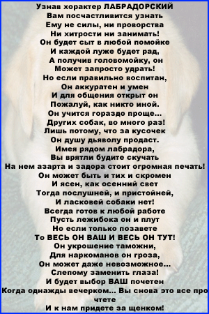 Что такое лабрадор стих Что такое лабрадор стих